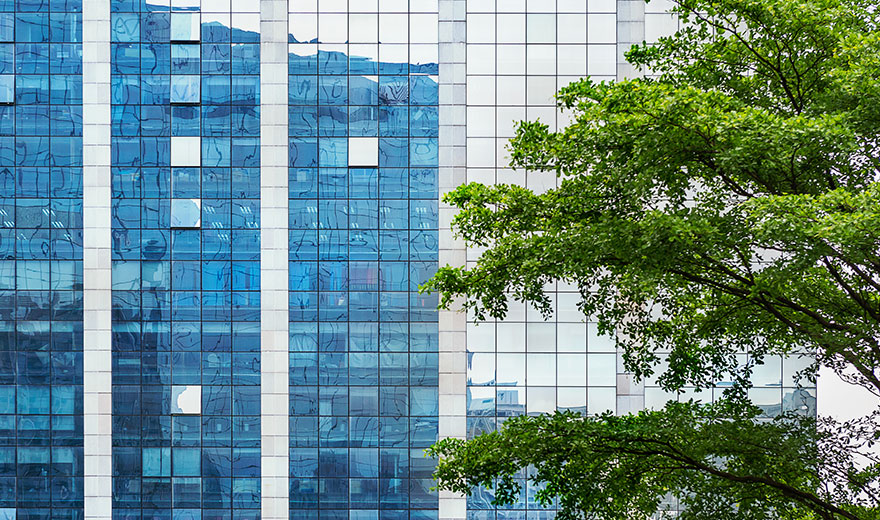 Responsibility-Building-A-Community - Bluecastle Capital